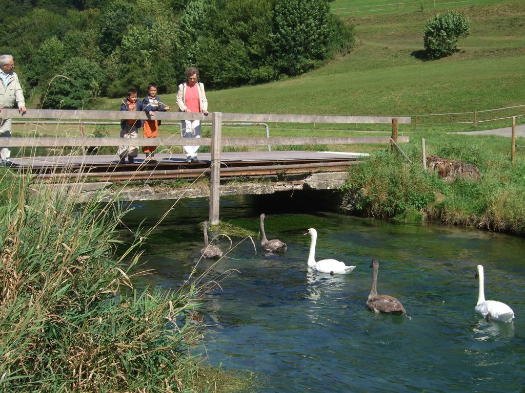 Gasthof Zur Post Zwiefalten Exteriér fotografie